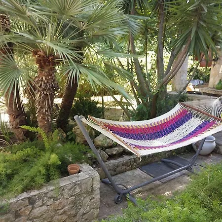 Natural بيت ضيافة