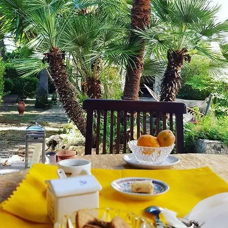 بيت ضيافة Natural *