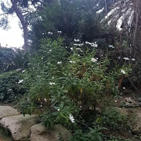 Natural